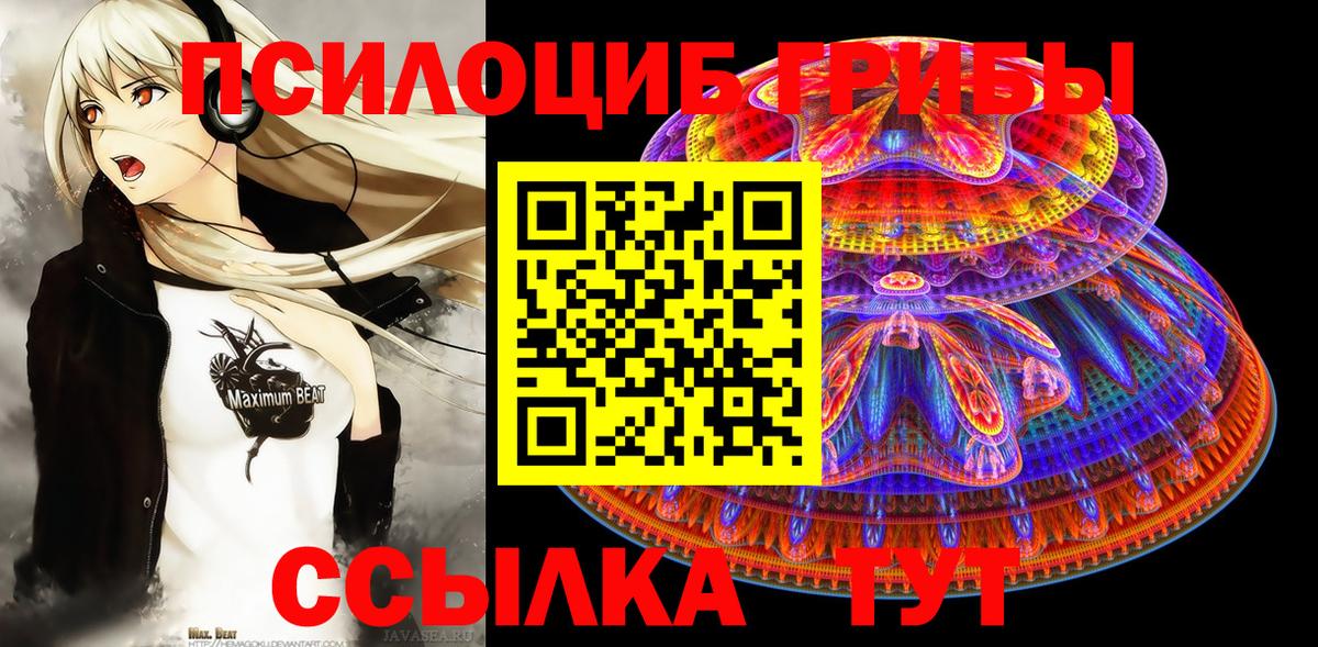 Галлюциногенные грибы GOLDEN TEACHER Дзержинский