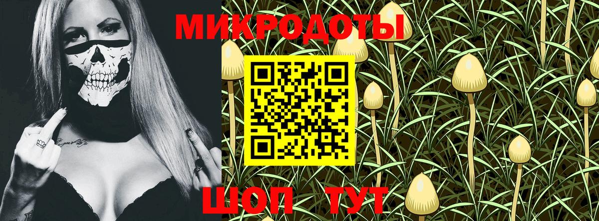 Дзержинский  Галлюциногенные грибы мухоморы  Псилоцибиновые грибы Cubensis  Вход с VPN 